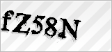 CAPTCHA security code