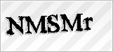 CAPTCHA security code