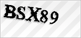 CAPTCHA security code