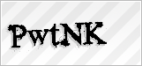 CAPTCHA security code