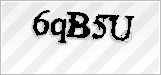 CAPTCHA security code