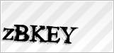 CAPTCHA security code