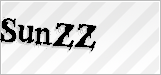 CAPTCHA security code