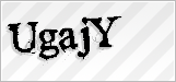 CAPTCHA security code