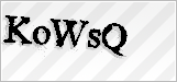 CAPTCHA security code