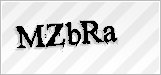 CAPTCHA security code