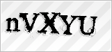 CAPTCHA security code
