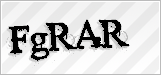 CAPTCHA security code