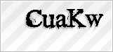CAPTCHA security code