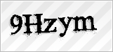 CAPTCHA security code