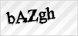CAPTCHA security code
