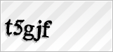 CAPTCHA security code