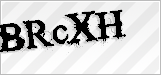 CAPTCHA security code