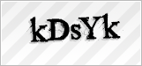 CAPTCHA security code