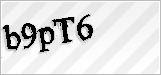CAPTCHA security code