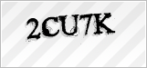CAPTCHA security code