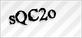 CAPTCHA security code