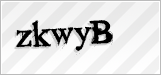 CAPTCHA security code