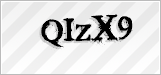 CAPTCHA security code