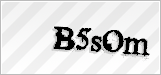 CAPTCHA security code