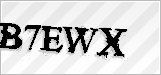 CAPTCHA security code