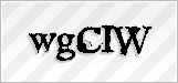 CAPTCHA security code