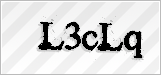 CAPTCHA security code