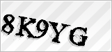 CAPTCHA security code