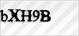 CAPTCHA security code