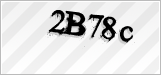 CAPTCHA security code
