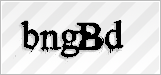 CAPTCHA security code
