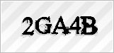 CAPTCHA security code