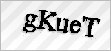 CAPTCHA security code