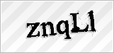 CAPTCHA security code