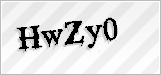 CAPTCHA security code
