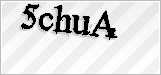 CAPTCHA security code