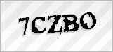 CAPTCHA security code