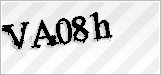 CAPTCHA security code
