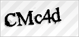 CAPTCHA security code