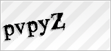 CAPTCHA security code