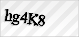 CAPTCHA security code