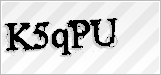 CAPTCHA security code