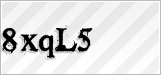 CAPTCHA security code