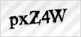 CAPTCHA security code