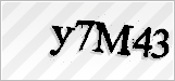 CAPTCHA security code