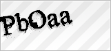 CAPTCHA security code