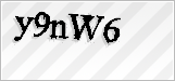 CAPTCHA security code