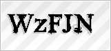 CAPTCHA security code