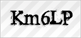 CAPTCHA security code