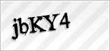 CAPTCHA security code